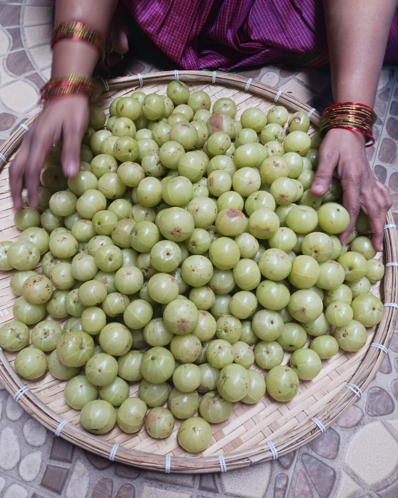 The Amla Collection for Karthika Maasam