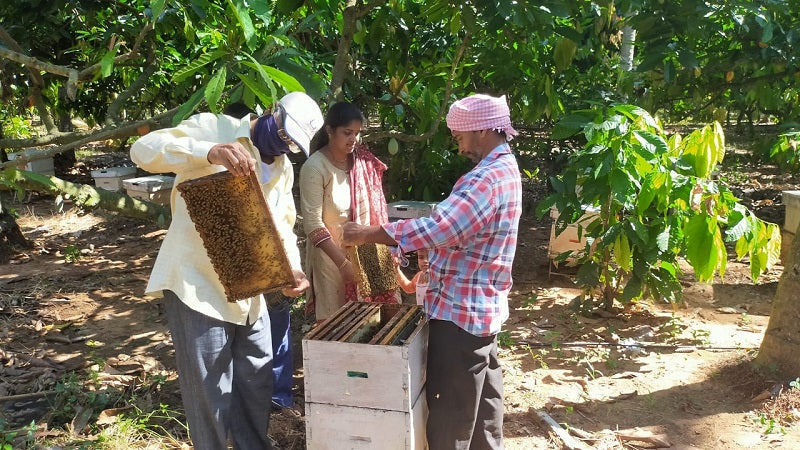 Nutreat raw unpasteurised honey sourced from a single farmer in India — natural, unheated, and unblended