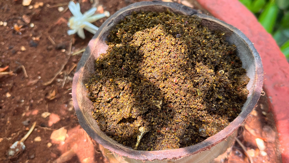 Thummikura (Thumba) Leaves: A Seasonal Healer for Knee Pains