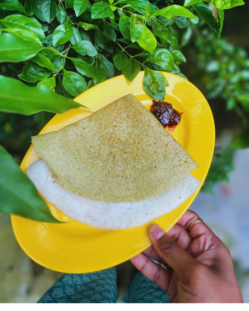 Custom Recipe Inspirations — Nutreat (Based on 14,000+ Past Orders)