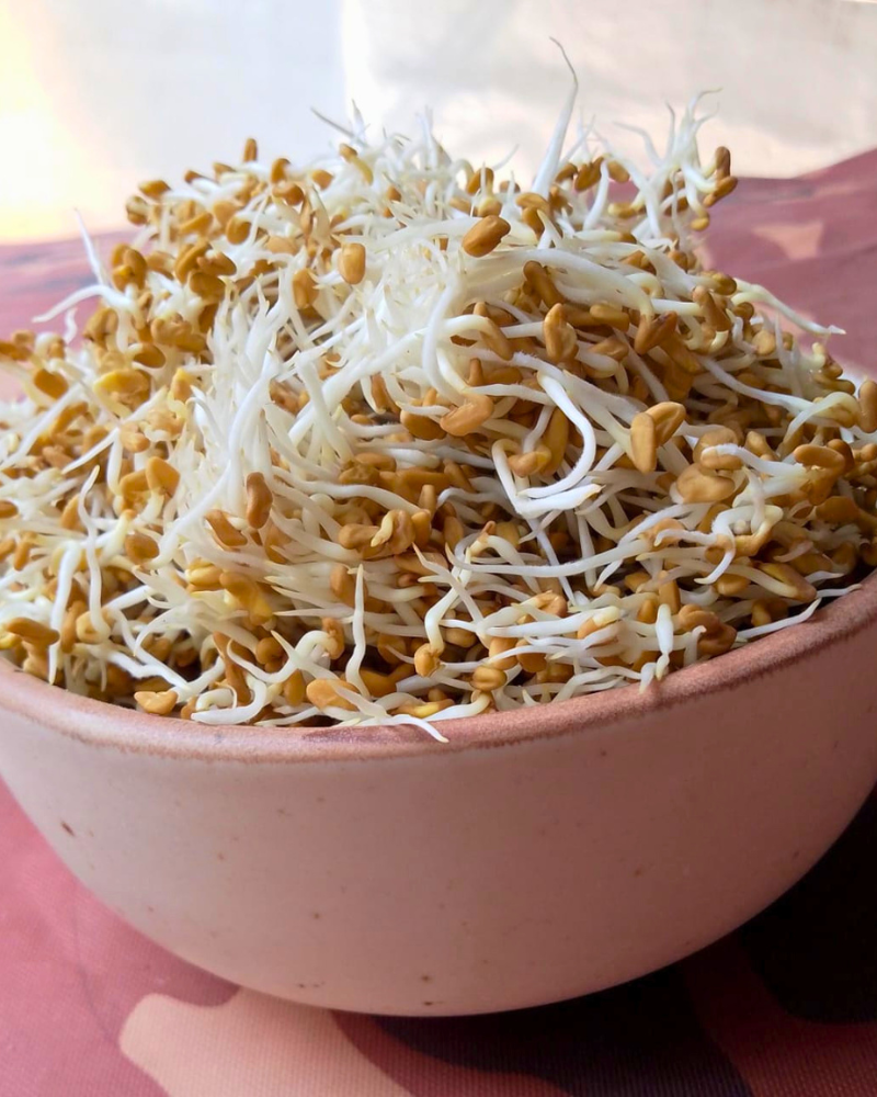 Sprouted Methi Blend for Daily Sugar Balance & Sustained Energy