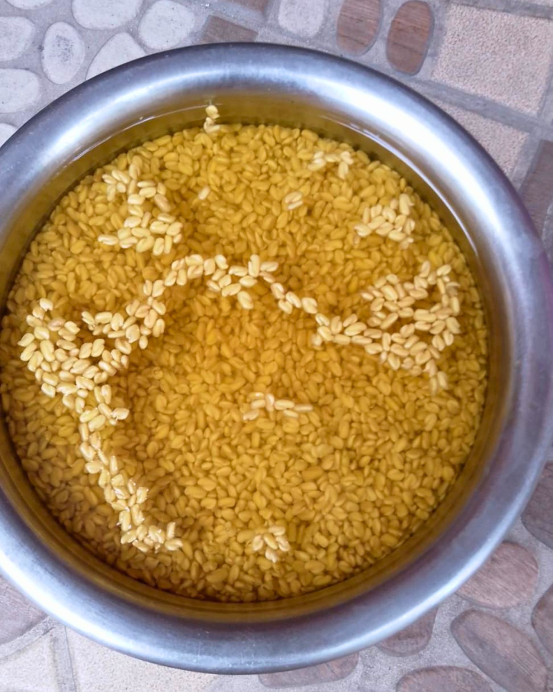 Sprouted Methi Blend for Daily Sugar Balance & Sustained Energy