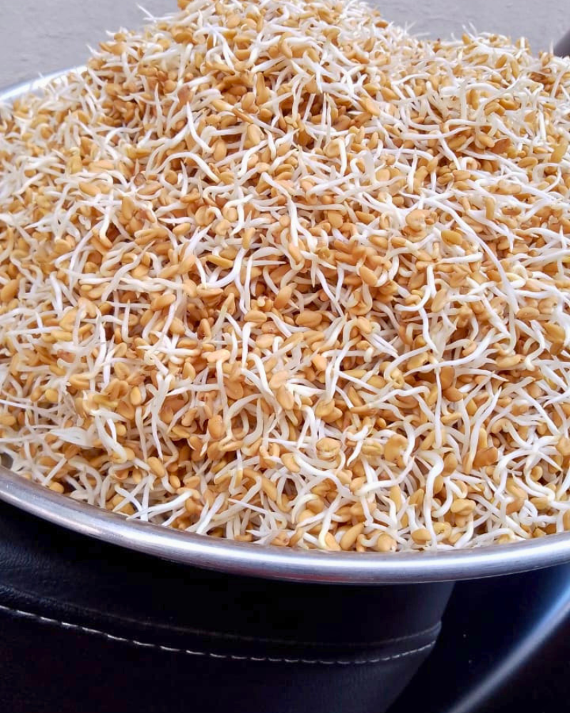 Sprouted Methi Blend for Daily Sugar Balance & Sustained Energy