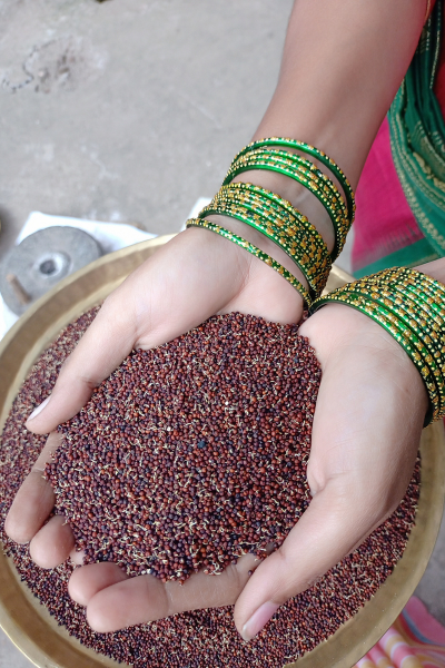 Handmade Stone grounded flours/ foods