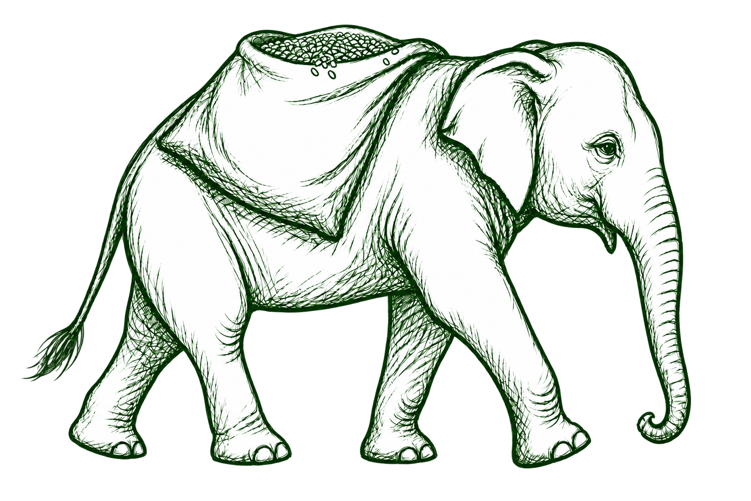NutreatLife elephant carrying harvested grains