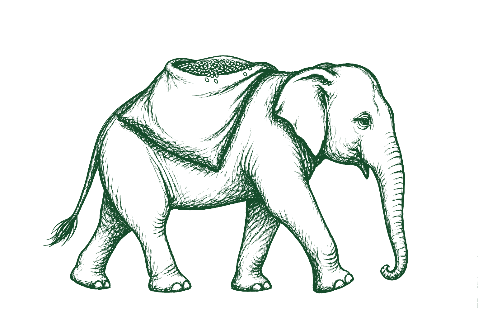 NutreatLife elephant carrying harvested grains